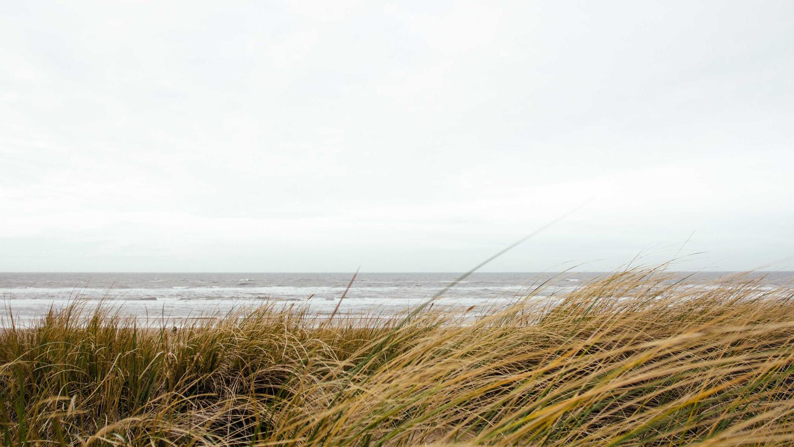 Completed roof replacement with architectural shingles